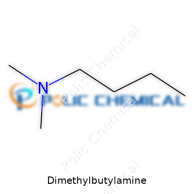 Dimethylbutylamine